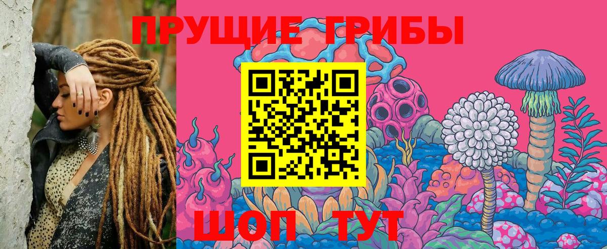 Галлюциногенные грибы Psilocybine cubensis  Вход с VPN  Кулебаки  купить наркоту  Галлюциногенные грибы Psilocybe 